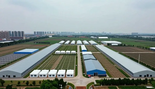 技术选型中的关键考量因素与实践路径